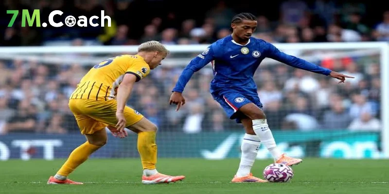 Dự đoán kết quả Chelsea vs Brighton Hove Albion